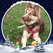 Sue Hyden's photo