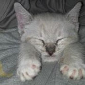 Paige Hill's photo