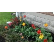 Donna McKenzie's photo