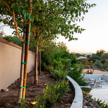 Paradise Pool and Outdoor Living Landscape on Paradise Valley