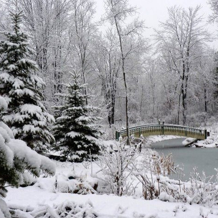 Winter Landscape at the Botanical Gardens