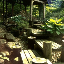 Shaded Garden