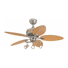 Ceiling Fans