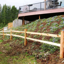 Landscape Ideas