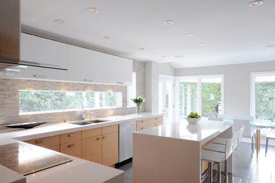 Kitchen - modern kitchen idea in Ottawa