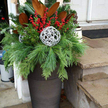 Winter Planters