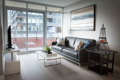 Living room - modern living room idea in Toronto