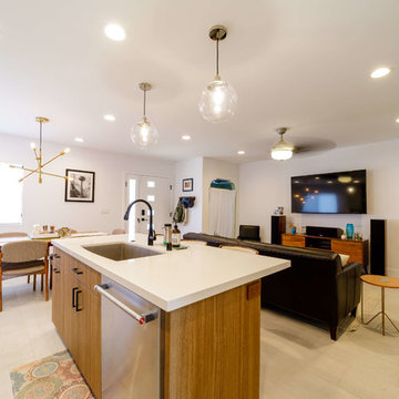 North Park Mid-Century Home Remodel
