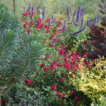 A Hillside of Vibrant Color