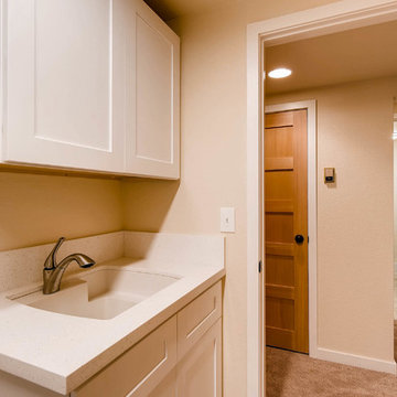 Eagle Modern Basement