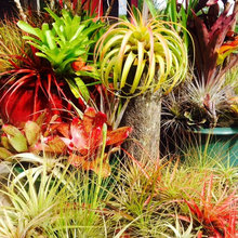 Gardens
