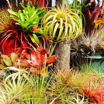 Big Island Botanical Retreat