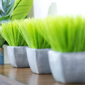 Smith Mountain Lake Basement Lounge Space- grass in planter