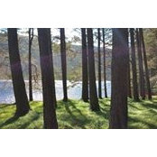 Melissa Sassella's photo