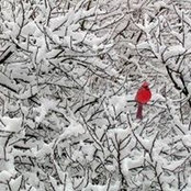 Foto de Lynn Ritchie
