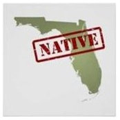 TJ Wolnik's photo