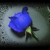 Foto de Susan Patch
