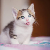 Heather Morgan's photo