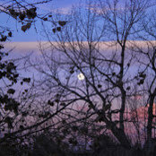 Aaron Szalaj's photo