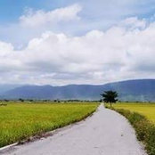 Sheng Sun's photo
