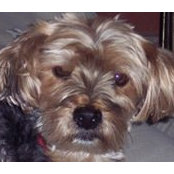 Susan Murphy's photo