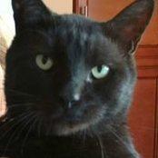Suzanne Frazier's photo