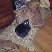 Terri Sears's photo
