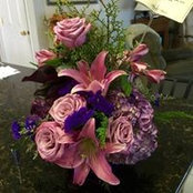 Kathy Hemphill's photo
