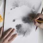 Sin Yi Ng's photo