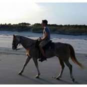 Kristin Hewko's photo