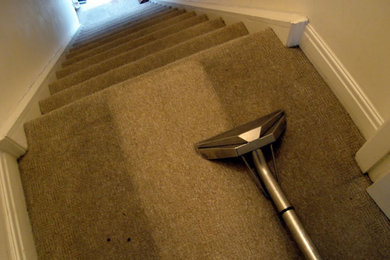 Professional  Carpet  Cleaning