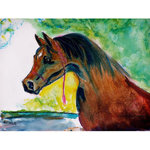 Betsy Drake - Prize Horse Door Mat 18x26 - These decorative floor mats are made with a synthetic, low pile washable material that will stand up to years of wear. They have a non-slip rubber backing and feature art made by artists Dick Hamilton and Betsy Drake of Betsy Drake Interiors. All of our items are made in the USA. Our small door mats measure 18x26 and our larger mats measure 30x50. Enjoy a colorful design that will last for years to come.