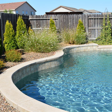 Blank Canvas to Beautiful Backyard