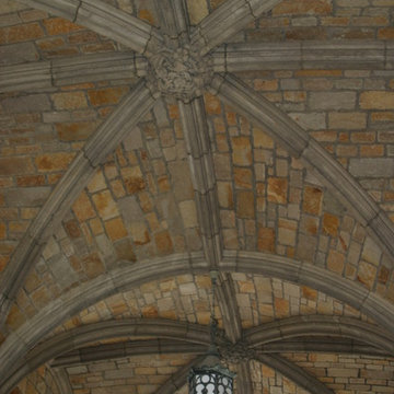 University Of Michigan