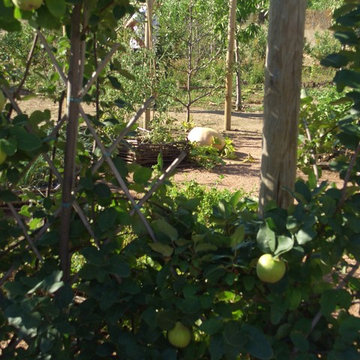 jardín de campo