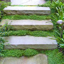 Landscape Ideas