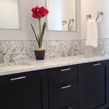 hall bathroom