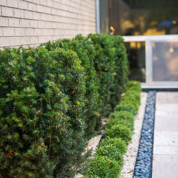 Mid-Century Modern Courtyard