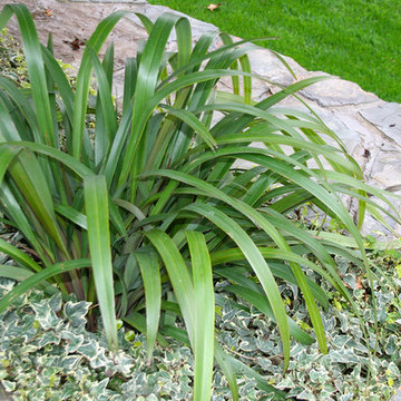 English Garden for a Craftsman Remodel at Home Ranch