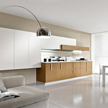 pedini