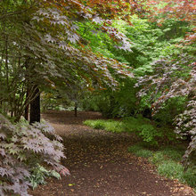 Landscape Ideas