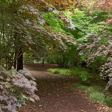 Maycroft - Landscape Restoration