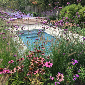 C-Side Loungepool von Riviera