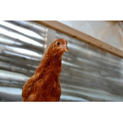 Thomas Adamietz's photo