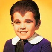 Photo de Steve Zev