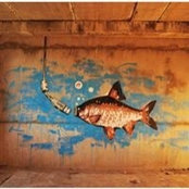 Marie Mad Fish's photo