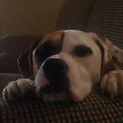 Dan Grosch's photo