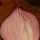 george_caso