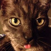 Cathy Phillips's photo