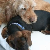 Georgie Lerner's photo